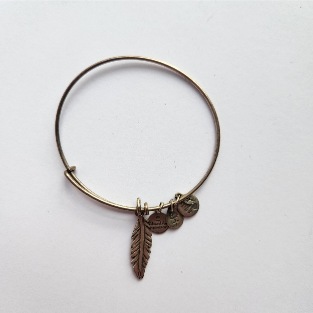 Alex and Ani Feather Charm Bracelet Bangle Silver Adjustable